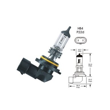 12V 55W P22D HB4 VISION PRO