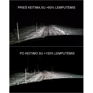 12V 55W PGJ19-2 H11 VISION PRO +150% (BOX-2) E1