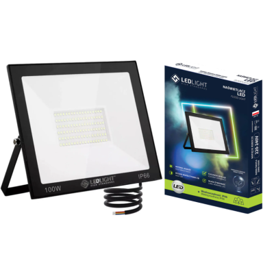 LED outdoor floodlight 100W PREMIUM 6500K